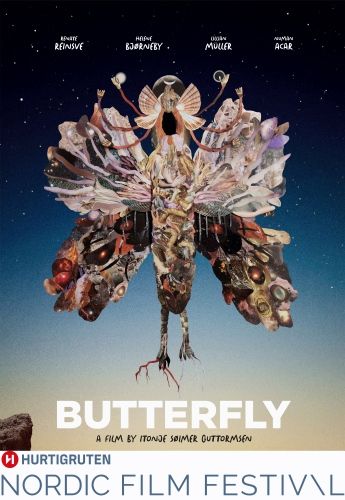 NOR26 Butterfly